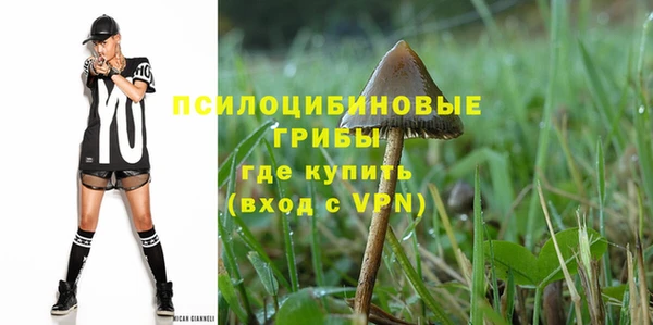 прущие крисы Абаза